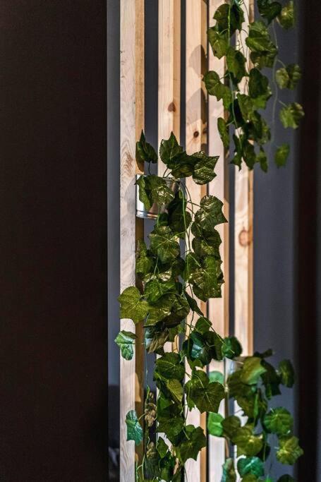 Krakowskie30 Loft1 Deptak ルブリン エクステリア 写真